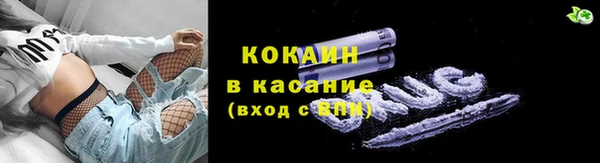 ешки Аркадак