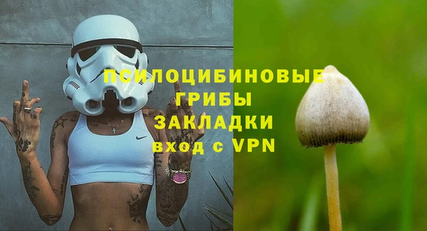 мяу мяу мука Арсеньев
