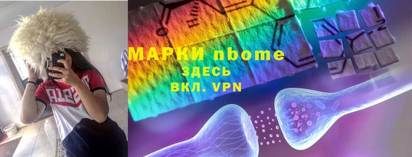 дживик Надым